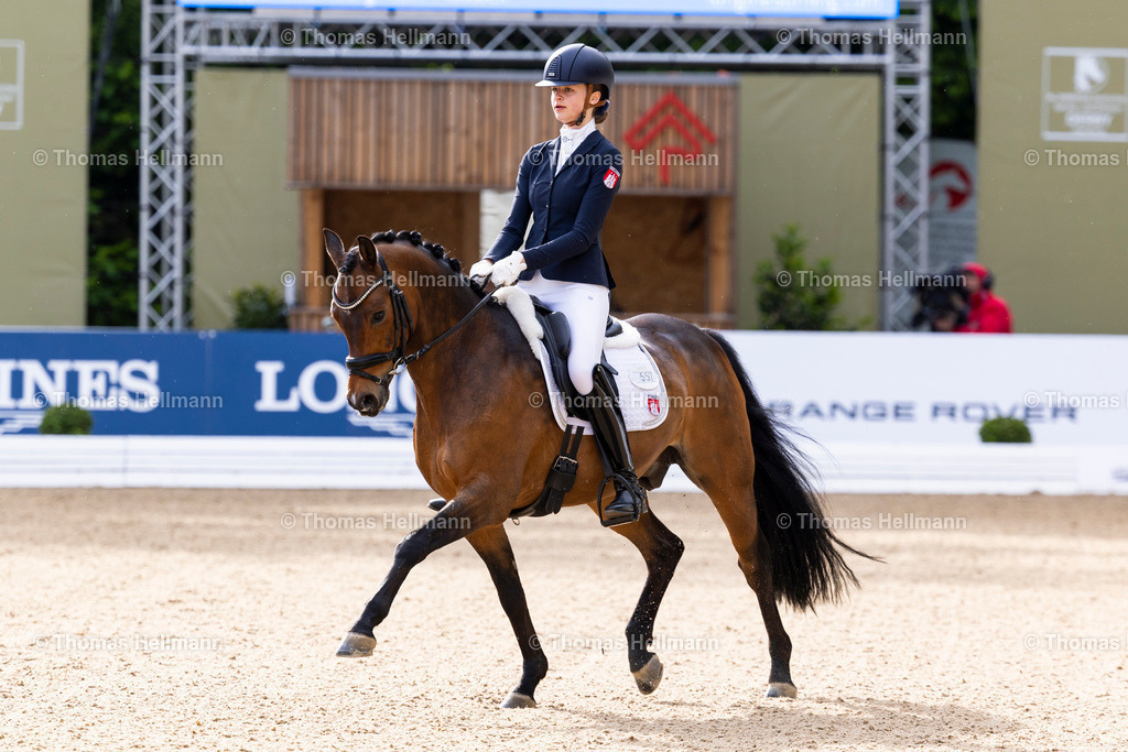 TH_557-LEVIEN Sophie (GER)_ Carlo Carlucci_37542 | Deutsches Spring- und Dressur-Derby 2026 am 14.05.26 in Hamburg, 557LEVIEN Sophie (GER), Carlo Carlucci