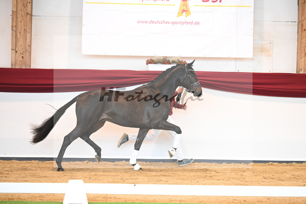 Kat-Nr. 40 v. Lord Europe_Bergmann_66221857 | hf-fotografie - Realisiert mit Pictrs.com
