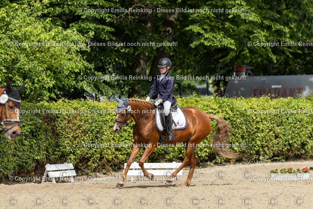 CL5A1346 | Emilia Reinking Fotografie - Realisiert mit Pictrs.com