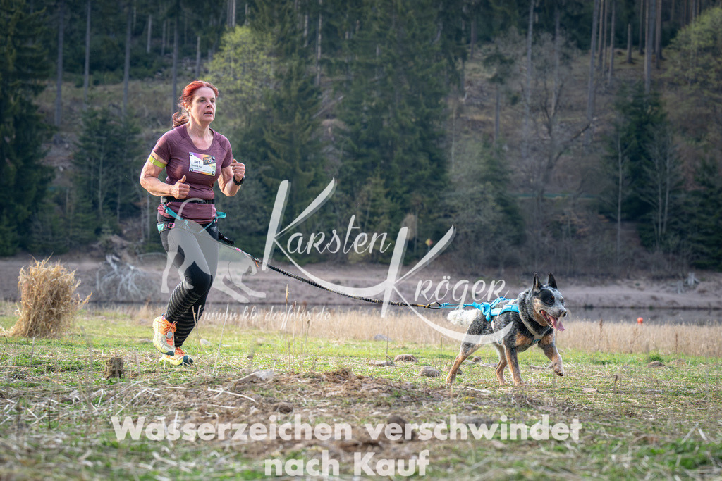 1822_ZZ96576 | kk-dogfotos