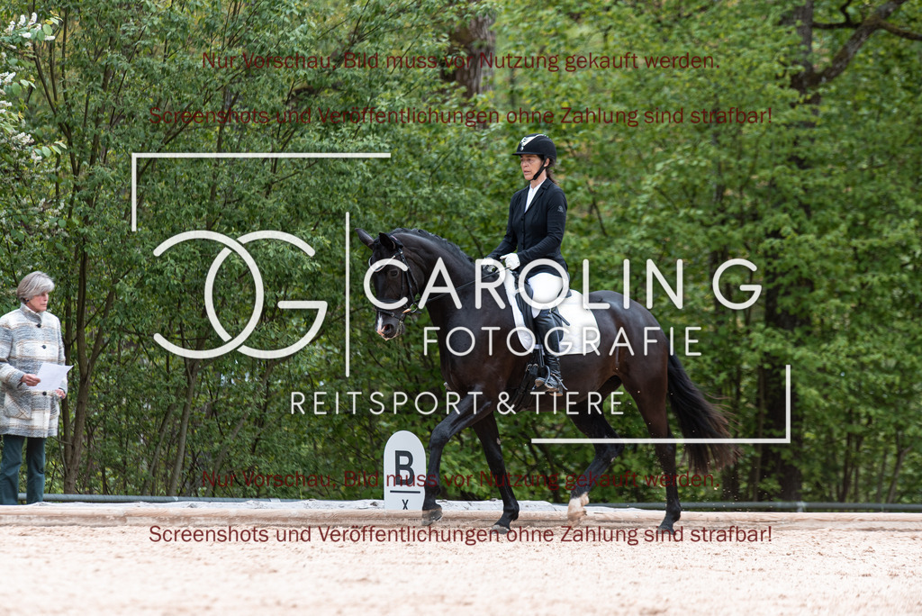DSC_6817 | Turnierfotografin Carolin Gieschke,Reitsport Turnierfotografie Carolin G Fotografie | Turnierfotos aus Kirchheim/Teck, Esslingen, Stuttgart und dem Bodenseekreis