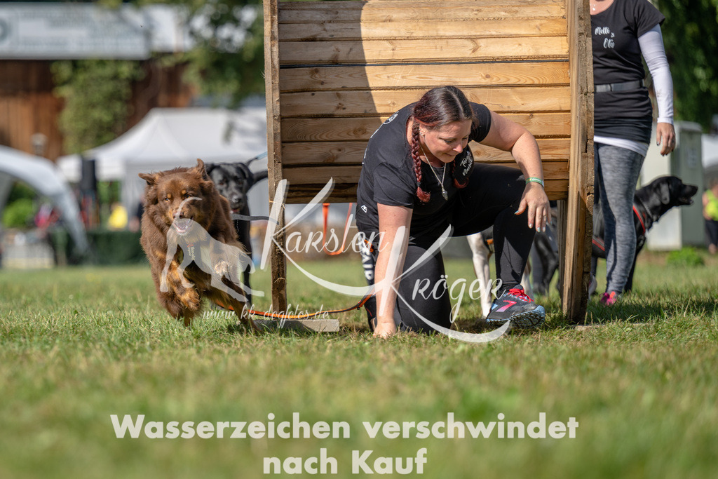 1131_ZZ90438 | kk-dogfotos