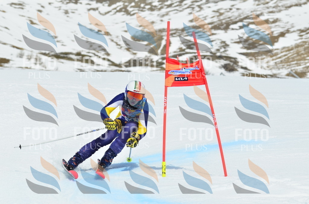 _ELE2562 | holidayphoto