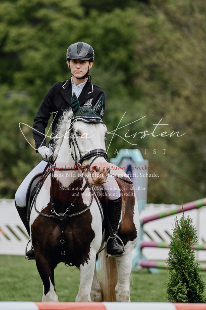 DSC_6731 | Pferde- und Turnierfotografie in Westsachsen. Pferdeportraits, Auftragszeichnungen und intuitive Kunst.