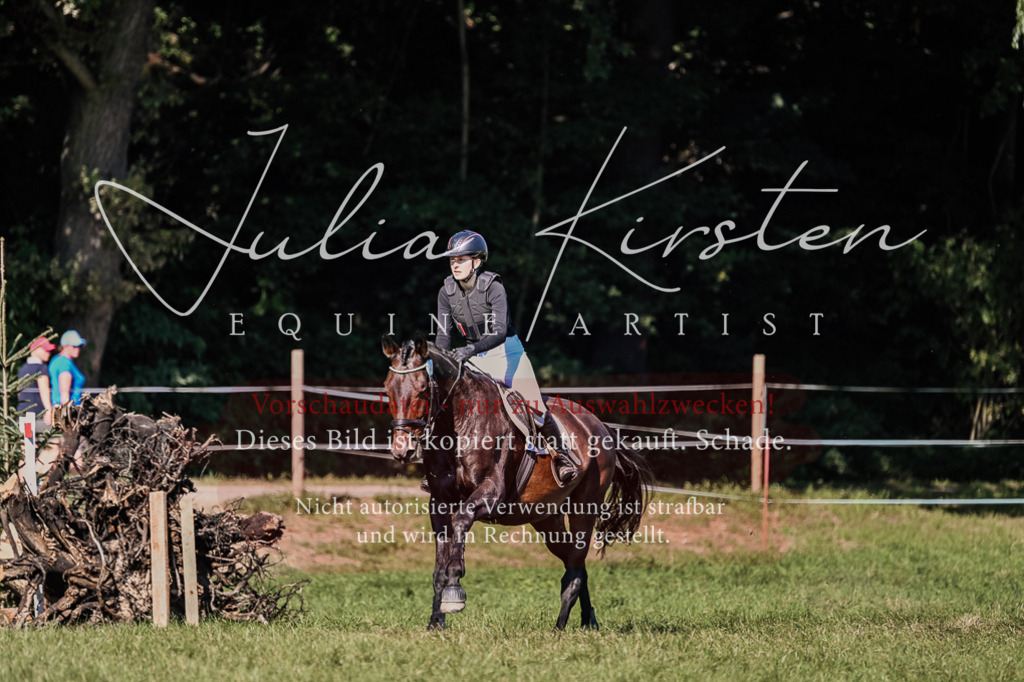 DSC_3422 | Pferde- und Turnierfotografie in Westsachsen. Pferdeportraits, Auftragszeichnungen und intuitive Kunst.