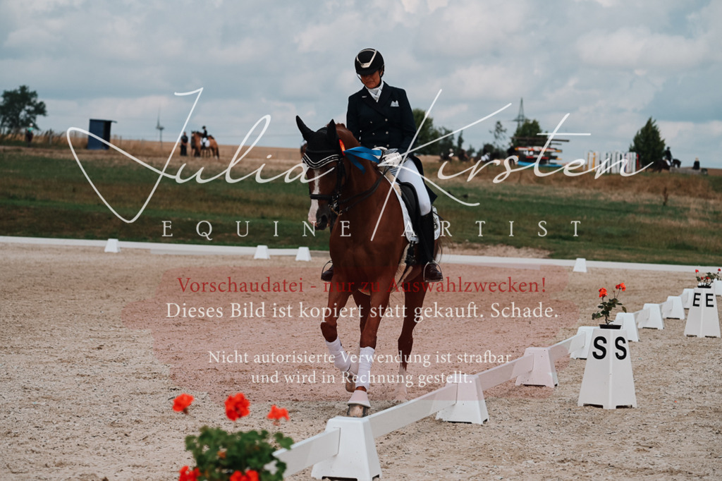 DSC_4141 | Pferde- und Turnierfotografie in Westsachsen. Pferdeportraits, Auftragszeichnungen und intuitive Kunst.