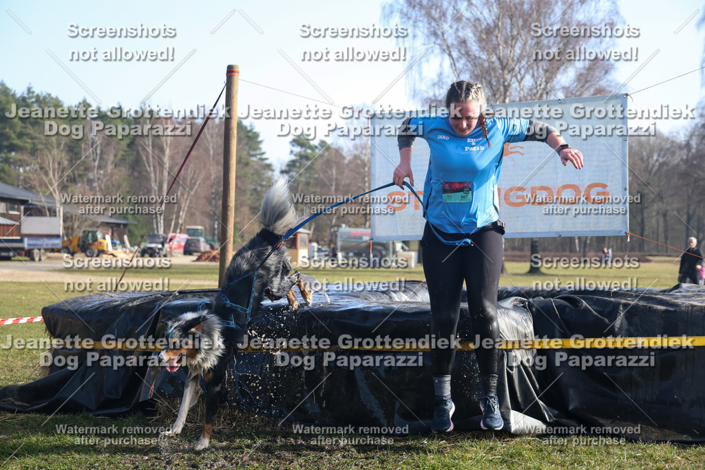 Dog Paparazzi - Strongdog North Mrz26-1141 | Dog Paparazzi Jeanette Grottendiek Fotografie & Videografie - Realisiert mit Pictrs.com