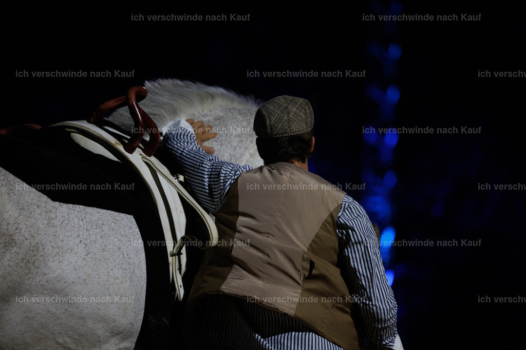 FHClassics-192 | working equitationturnier fotograf videograf stoibphotography marixx film working equitation deutschland reitsport turnierfotografie eventfotografie equestrian events