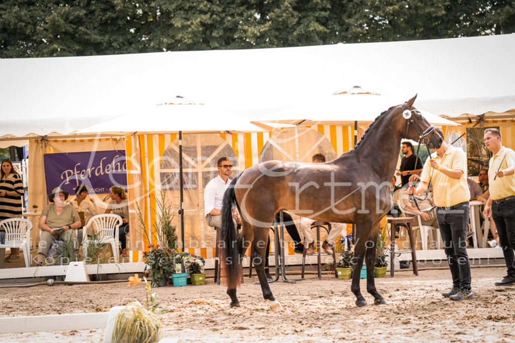 7.Fr00026 | Leoni Ertmer Photography - Realisiert mit Pictrs.com