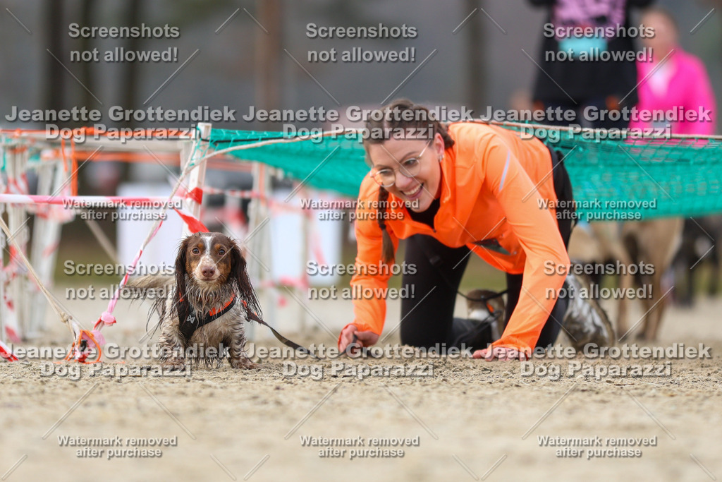 Dog Paparazzi - Strongdog North Mrz26-4435 | Dog Paparazzi Jeanette Grottendiek Fotografie & Videografie - Realisiert mit Pictrs.com