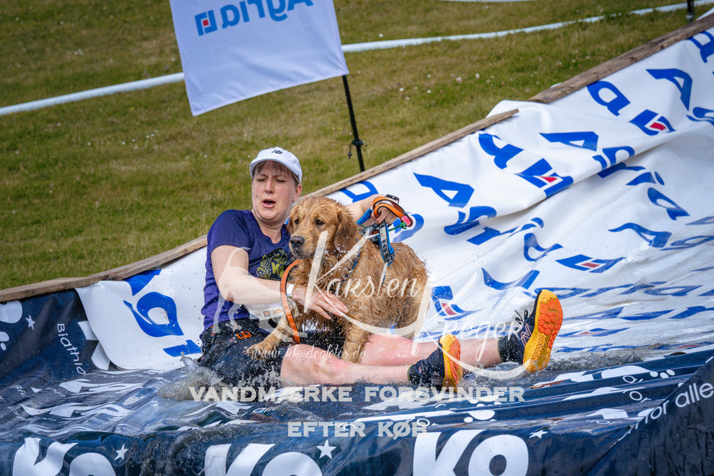 _ZZ949491004 | kk-dogfotos