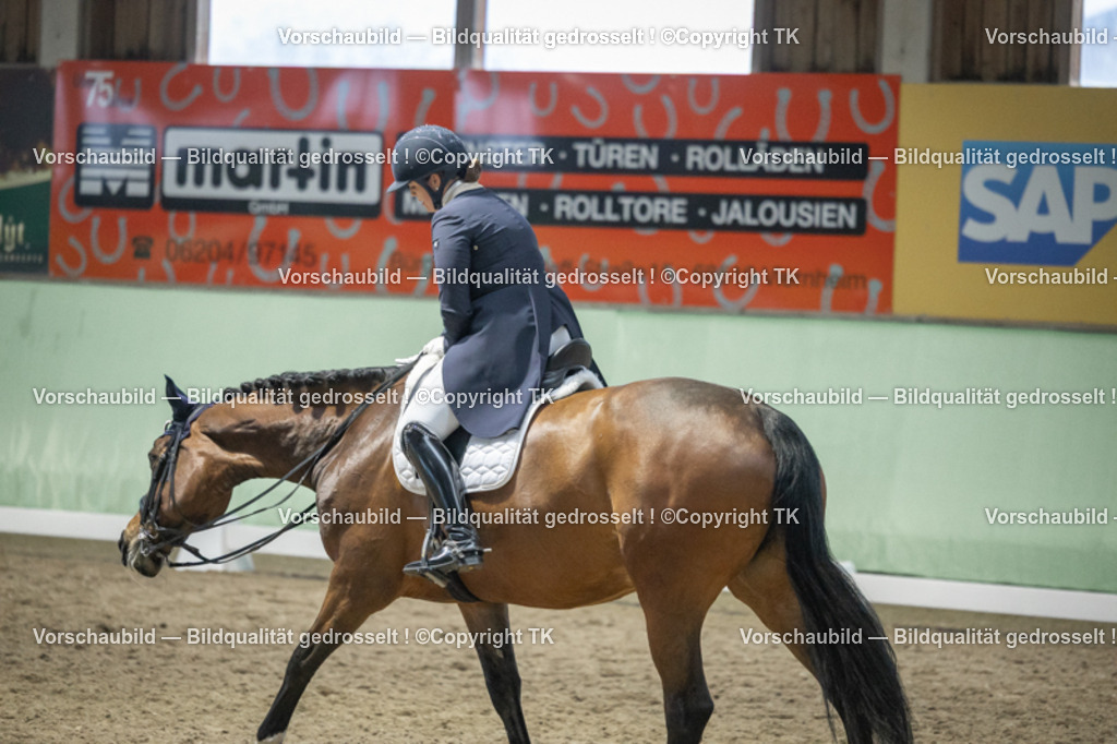 _D5A7074 | Emotionale Pferde- & People-Fotografie rund um Heidelberg, Leimen & Umgebung. Natürliche Fotos von Pferd, Mensch & Familie. Jetzt Termin sichern!