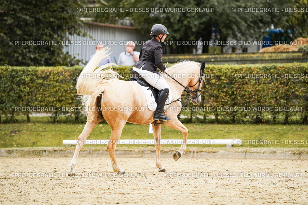 DSC00185 | Pferdegrafie