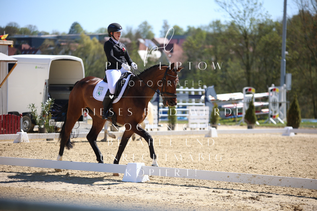 IMGT1169 | pl-fotografie