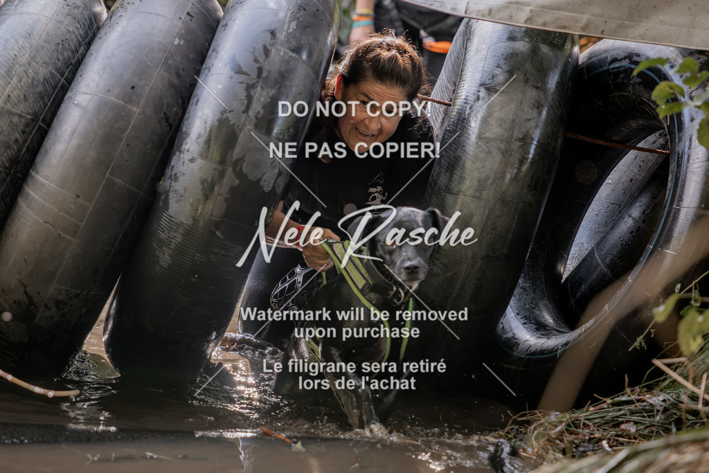 nelerasche_Hunsrück2026_Sa1400-1500_399 | nelerasche