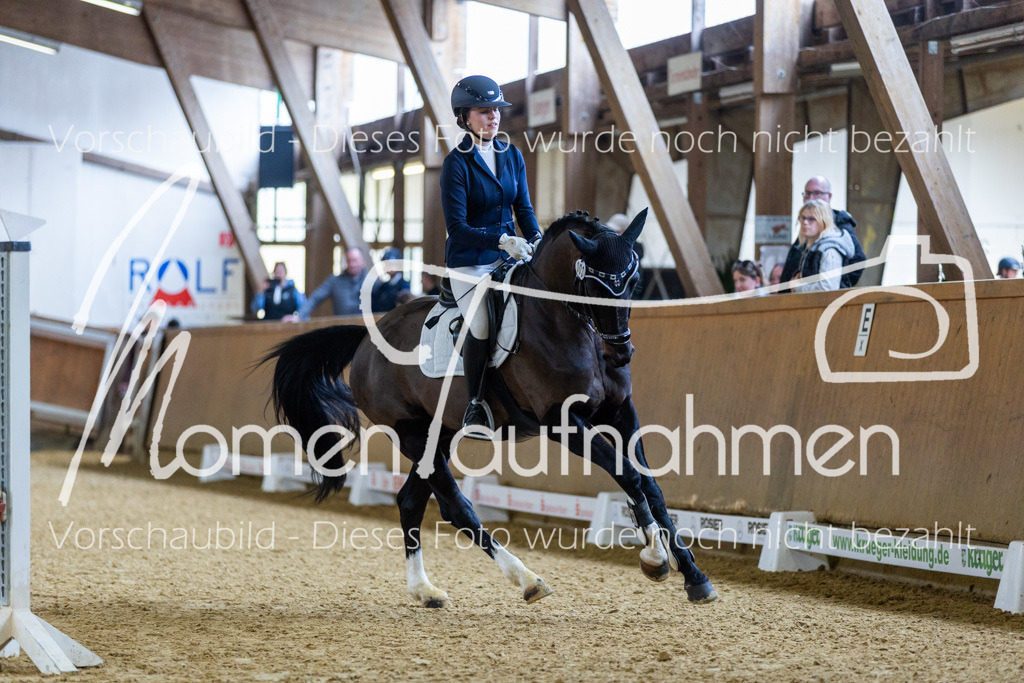 Sth-LPO25-Kombi-008 | MomenTaufnahmen Pferdesportfotos