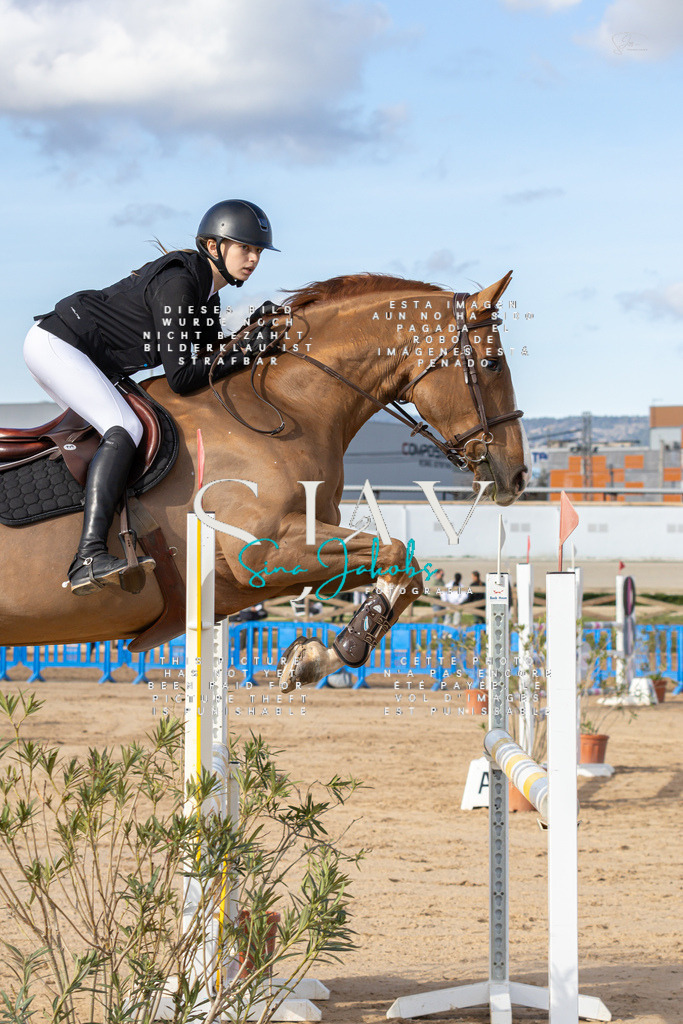 IMG_7939 | s-jay-photography - Realisiert mit Pictrs.com