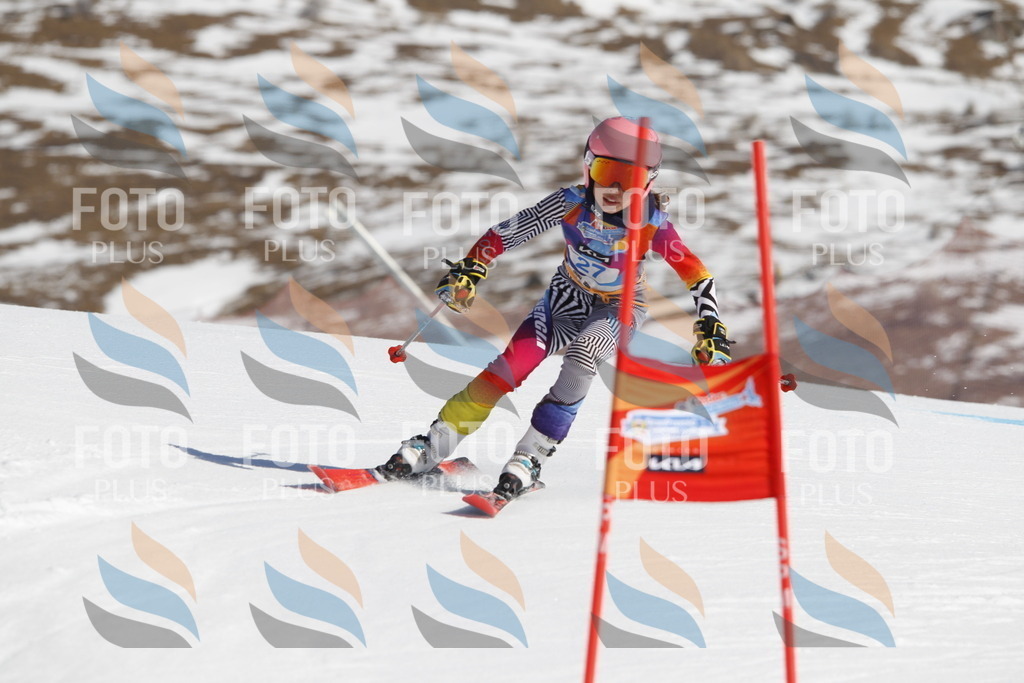 _U3G8982 | holidayphoto