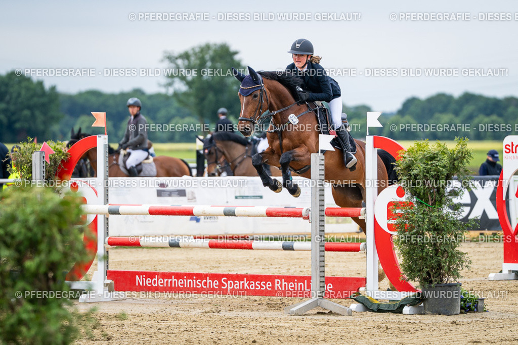 DSC04960 | Pferdegrafie