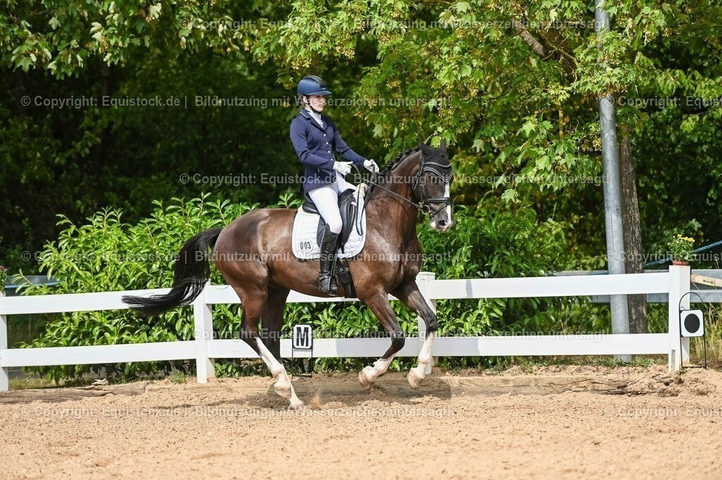 20230715_02_Dressurreiterprüfung Kl.L_0288 | equistock