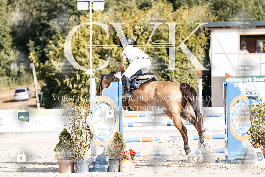 CK909179 | Turnierfotografie Pferdefotografie Trier Rheinland-Pfalz Pferdesport Reitsport Tierfotografie Sportfotografie Pferdevideo Pferdevideografie Equestrianvideography equestrianphotography  - Realisiert mit Pictrs.com