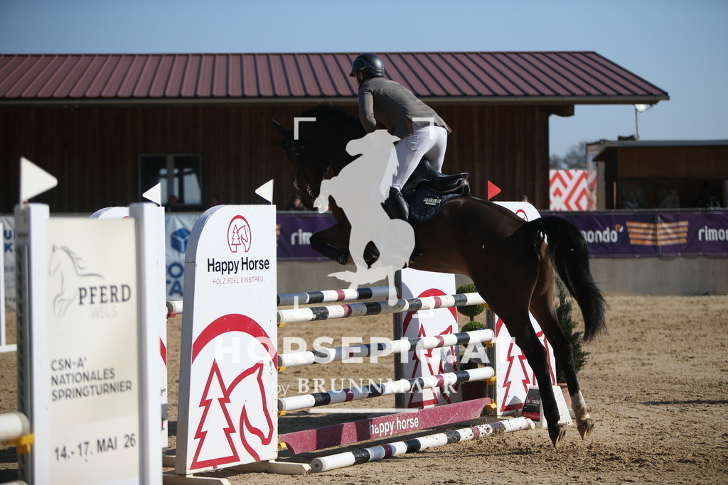 AS8V5460 | Willkommen bei Brunnmayr - Design & Fotografie – Ihrem Spezialisten für Reitturniere und Pferdeveranstaltungen in Oberösterreich, Salzburg und Bayern! Seit über 17 Jahren sind wir leidenschaftlich dabei.