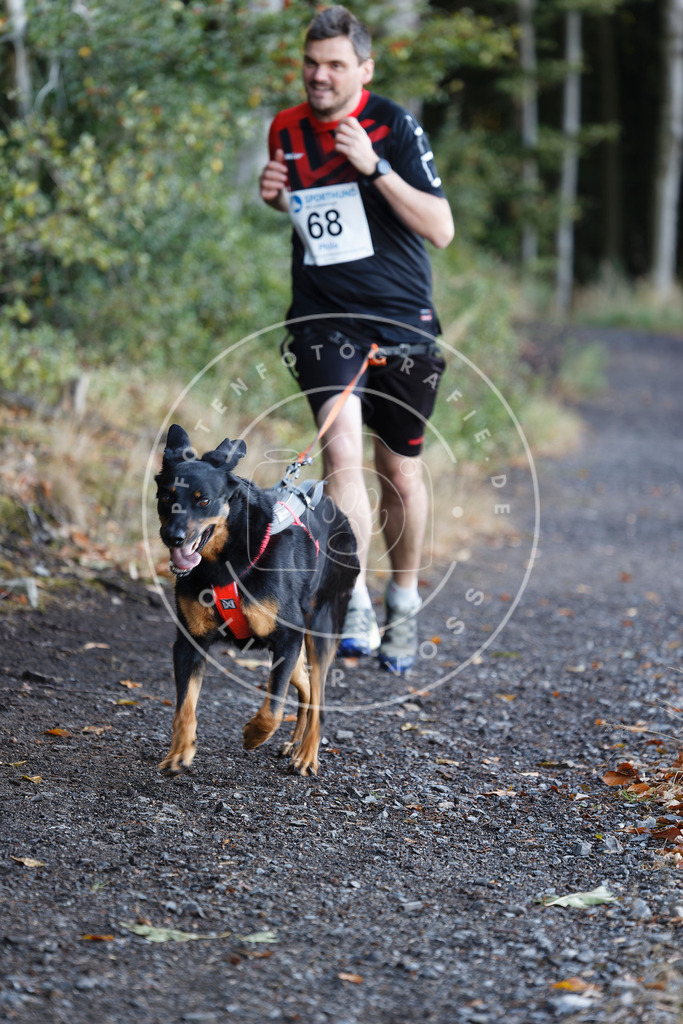 0L8A1936 | Hundefotografie, Tierfotograf, Pfotenfotografie, Fotoshooting Hund, Hunde Portrait, Hundesport, Hundeportraits, Heideshooting, Hunde, Sportfotograf, Hundefotograf, Turnierhundsport, THS,  - Realisiert mit Pictrs.com