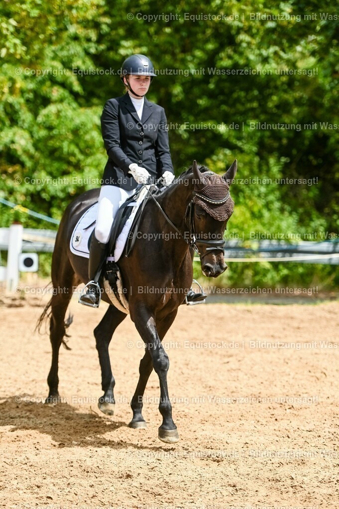 20230715_05_Dressurprüfung Kl.A++_0358 | equistock