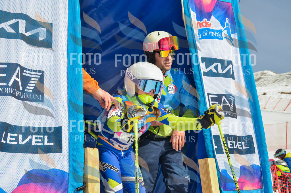 _ELE4644 | holidayphoto