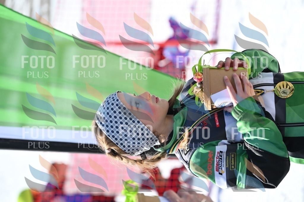 C7246 | holidayphoto