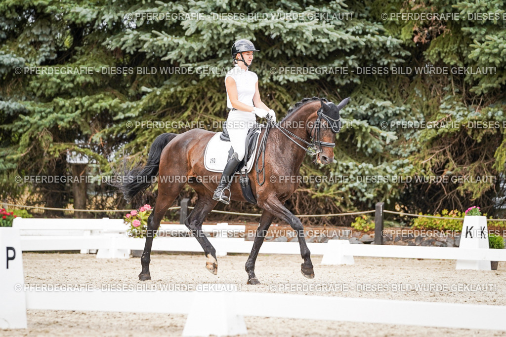 DSC06660 | Pferdegrafie