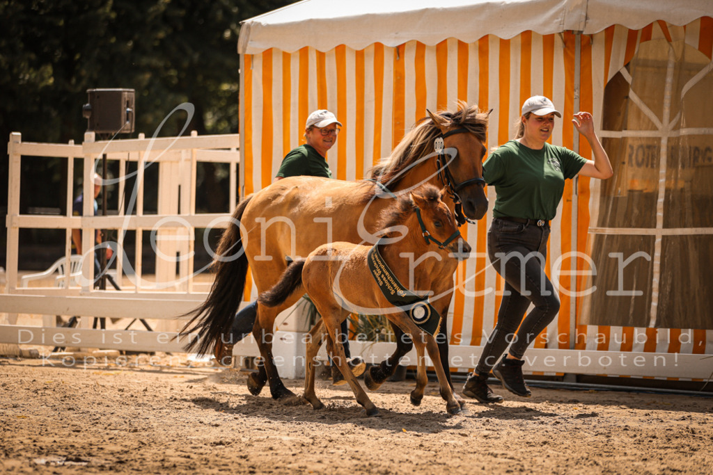 02.DoSR00235 | Leoni Ertmer Photography - Realisiert mit Pictrs.com