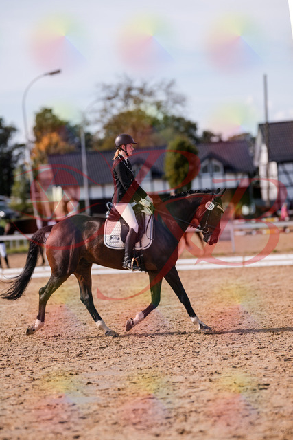 2026_10_03_Siefer-Hof_132235_Z81_72169357 | Professionelle Reitsport-, Turnier- und Eventfotografie von Robert Broda. Galerien mit ausgewählten und bearbeiteten Bildern direkt online ansehen und bestellen.
