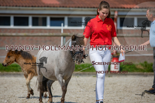 IMG_1332 | mandyhollmannphotographie