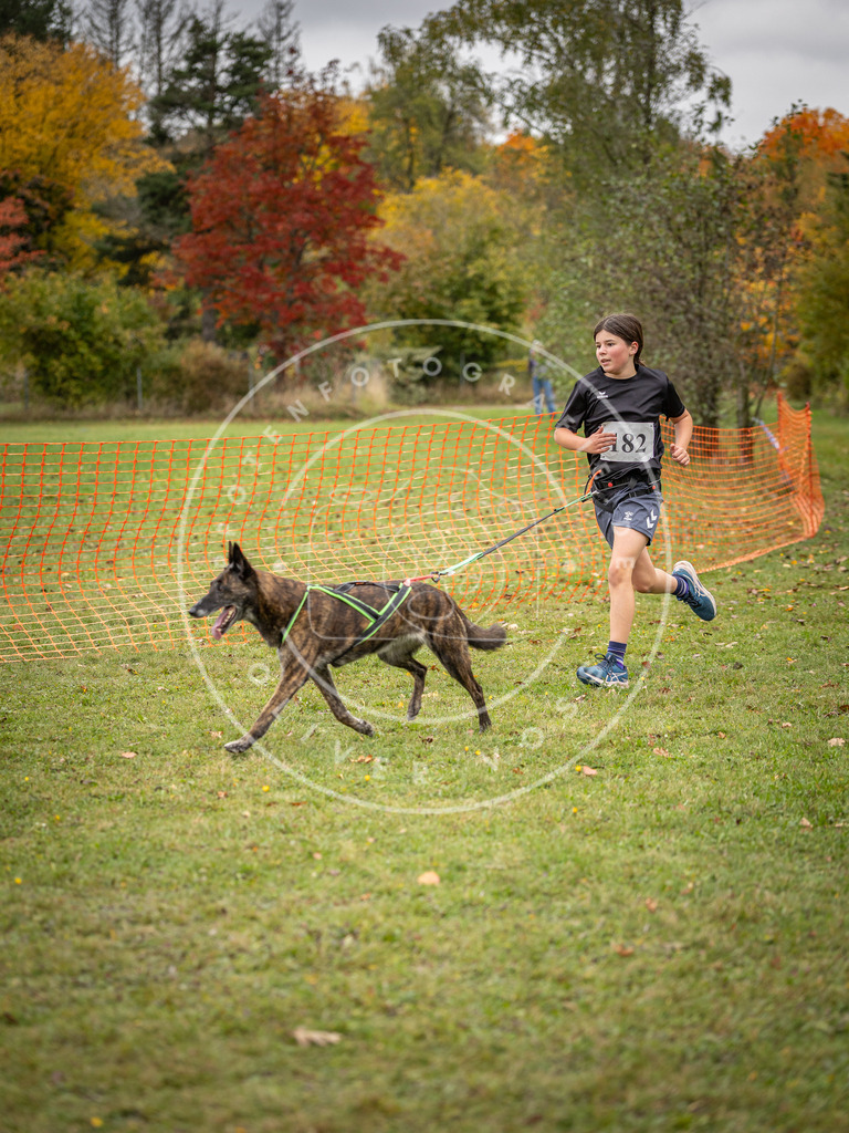 Pfotenfotografie_DV3A3718 | Hundefotografie, Tierfotograf, Pfotenfotografie, Fotoshooting Hund, Hunde Portrait, Hundesport, Hundeportraits, Heideshooting, Hunde, Sportfotograf, Hundefotograf, Turnierhundsport, THS,  - Realisiert mit Pictrs.com