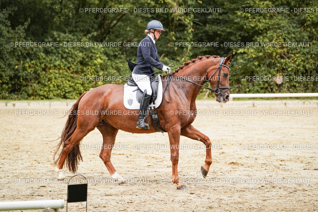 DSC09411 | Pferdegrafie