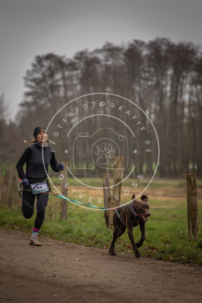 Pfotenfotografie_DV3A2706 | Hundefotografie, Tierfotograf, Pfotenfotografie, Fotoshooting Hund, Hunde Portrait, Hundesport, Hundeportraits, Heideshooting, Hunde, Sportfotograf, Hundefotograf, Turnierhundsport, THS,  - Realisiert mit Pictrs.com