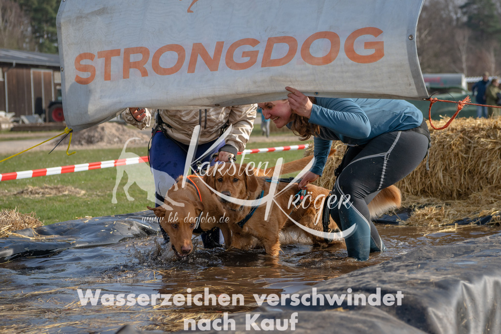 _ZZ91497 | kk-dogfotos