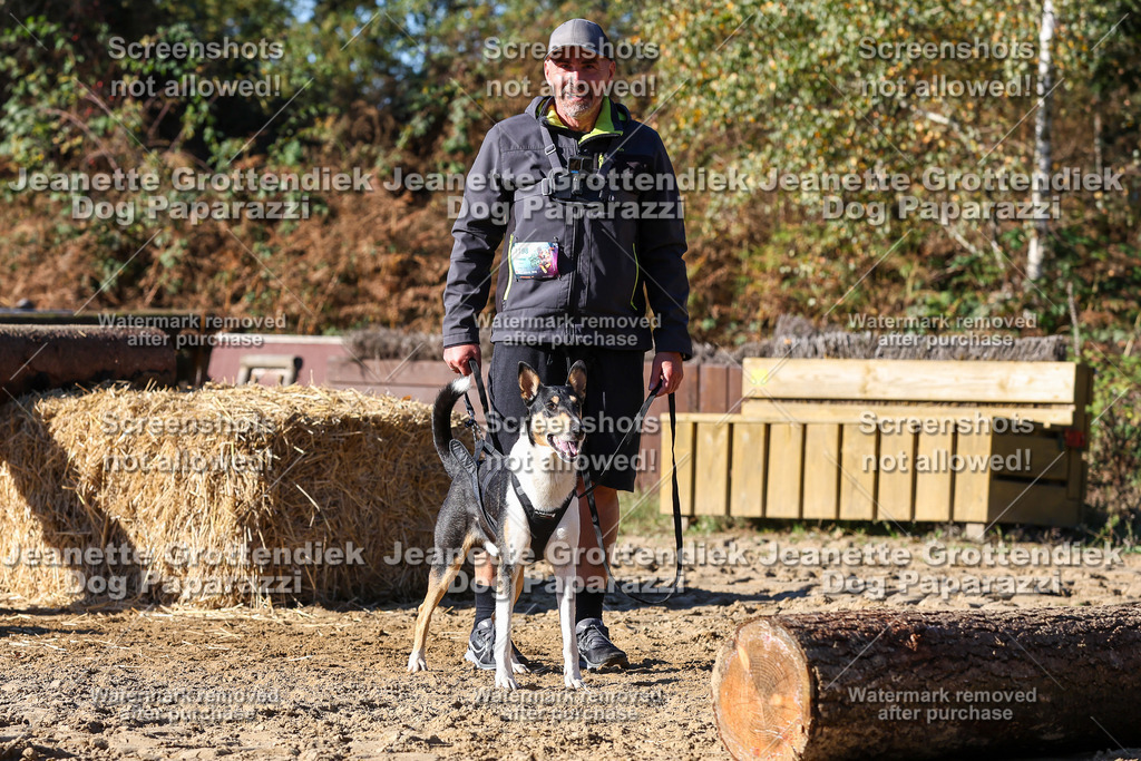 Dog Paparazzi - Strongdog 10-25-2575 | Dog Paparazzi Jeanette Grottendiek Fotografie & Videografie - Realisiert mit Pictrs.com