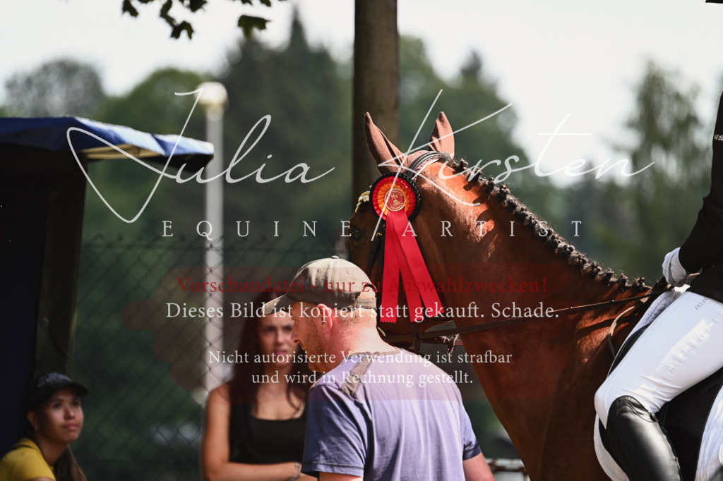 DSC_2835 | Pferde- und Turnierfotografie in Westsachsen. Pferdeportraits, Auftragszeichnungen und intuitive Kunst.