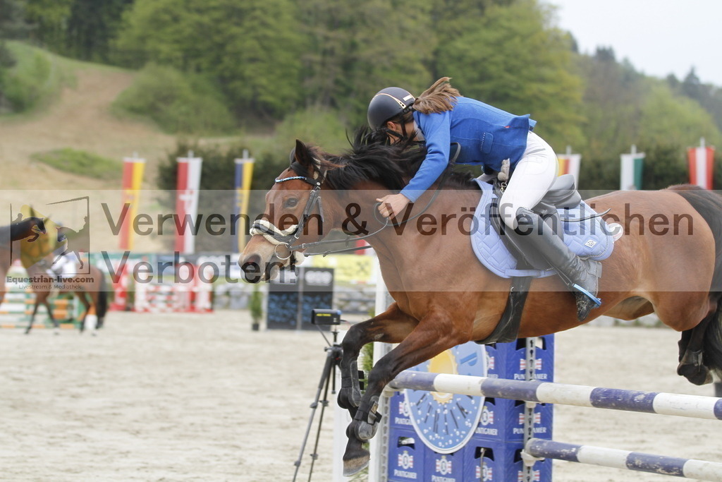 _MG_1625 | equestrian-live-com