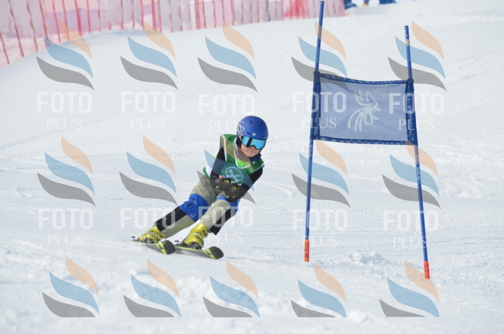 D8638 | holidayphoto