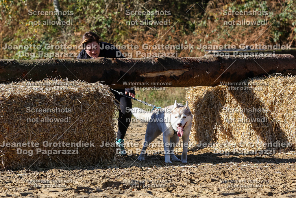 Dog Paparazzi - Strongdog 10-25-2455 | Dog Paparazzi Jeanette Grottendiek Fotografie & Videografie - Realisiert mit Pictrs.com