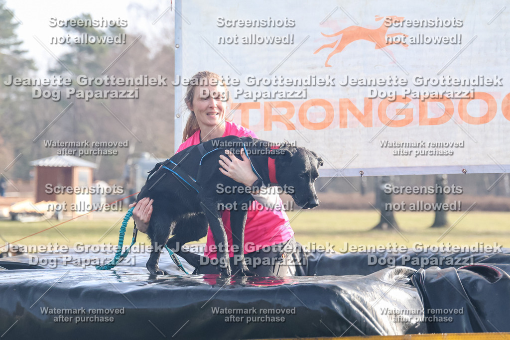 Dog Paparazzi - Strongdog North Mrz26-213 | Dog Paparazzi Jeanette Grottendiek Fotografie & Videografie - Realisiert mit Pictrs.com