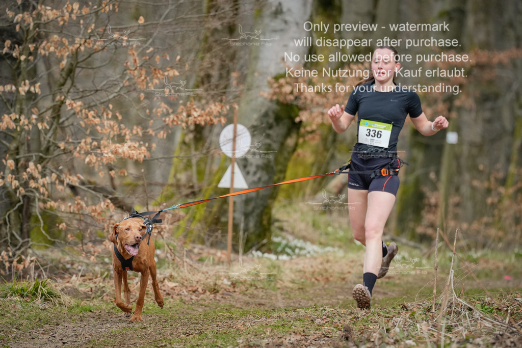 CaniCrosskurzSa-9 | stephaniefillaphotographie - Realisiert mit Pictrs.com