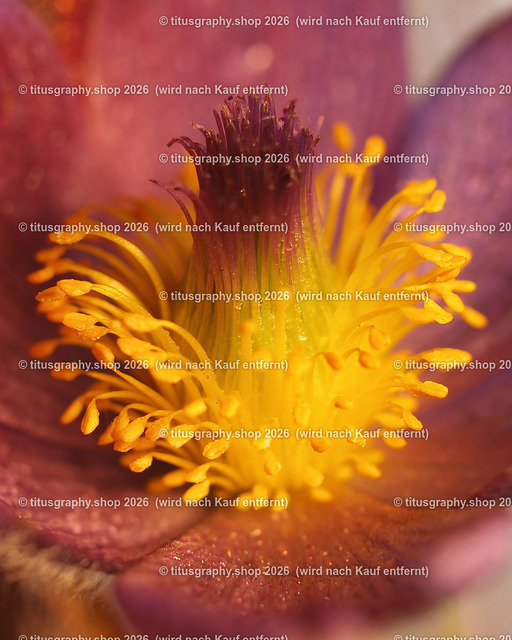 titusgraphy_P5217038-vz-ln-02-a-h | titusgraphy-shop: Geschenkideen mit Qualitätsfotos. titusgraphy-shop: gift ideas with quality photos. titusgraphy-shop: idées cadeaux avec photos de qualité.  - Realisiert mit Pictrs.com