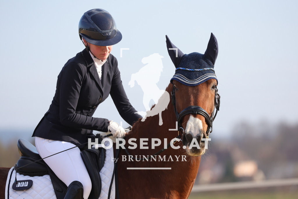 0P6A5962 | Willkommen bei Brunnmayr - Design & Fotografie – Ihrem Spezialisten für Reitturniere und Pferdeveranstaltungen in Oberösterreich, Salzburg und Bayern! Seit über 17 Jahren sind wir leidenschaftlich dabei.