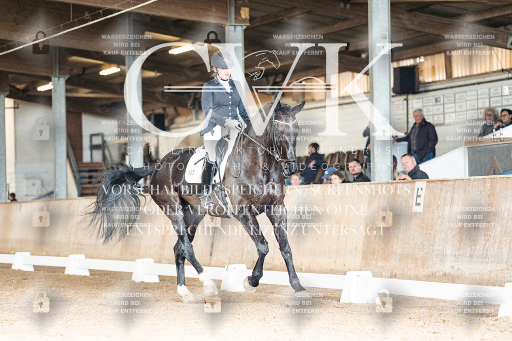 CK902221 | Turnierfotografie Pferdefotografie Trier Rheinland-Pfalz Pferdesport Reitsport Tierfotografie Sportfotografie Pferdevideo Pferdevideografie Equestrianvideography equestrianphotography  - Realisiert mit Pictrs.com