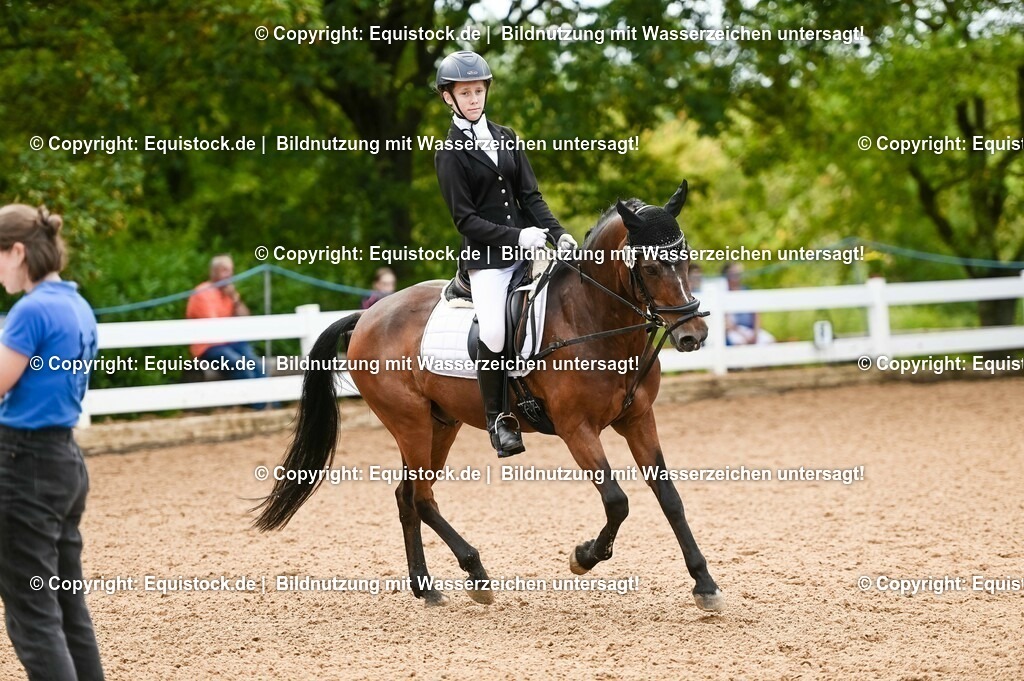 20230716_10-2_Reiter-WB Schritt - Trab - Galopp_0108 | equistock