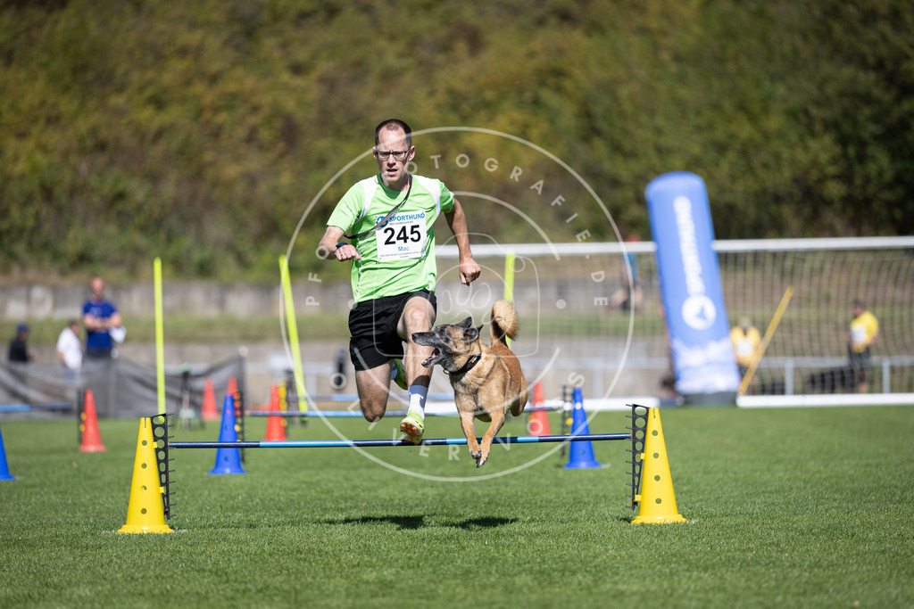 Pfotenfotografie_DV3A6030 | Hundefotografie, Tierfotograf, Pfotenfotografie, Fotoshooting Hund, Hunde Portrait, Hundesport, Hundeportraits, Heideshooting, Hunde, Sportfotograf, Hundefotograf, Turnierhundsport, THS,  - Realisiert mit Pictrs.com
